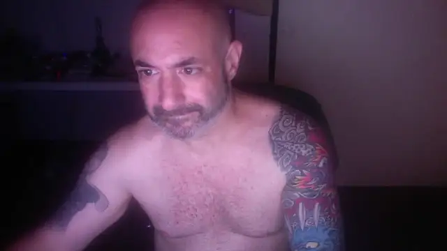 palidin1 webcam
