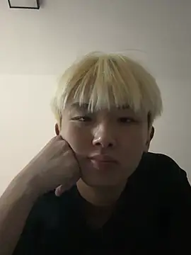 Cnmp6666 webcam