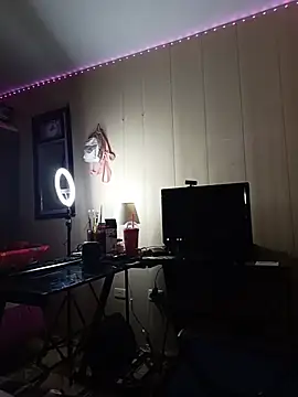 Secret_Muusee webcam