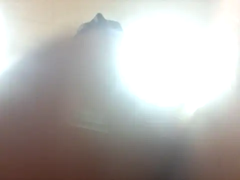 mechanicmark webcam