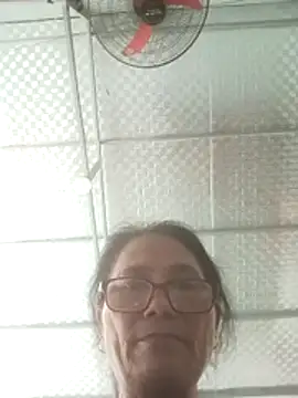 Vieekee webcam