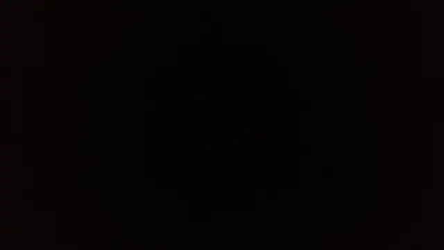 harry_reems1 webcam
