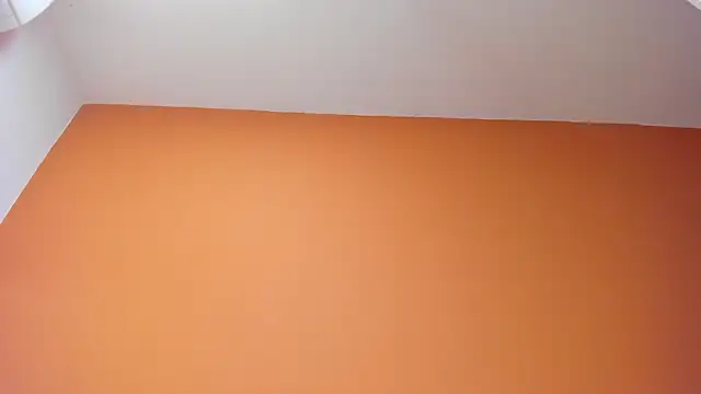 b3cky_ webcam