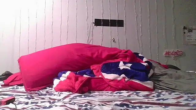 deepinnnnn webcam