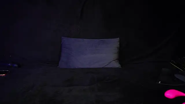 STOP-PANIC webcam