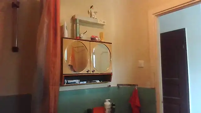 SHARPSkinhead webcam