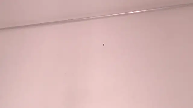 SashaNova webcam
