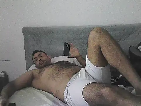 IronSideBear webcam