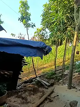 xiaogoal webcam