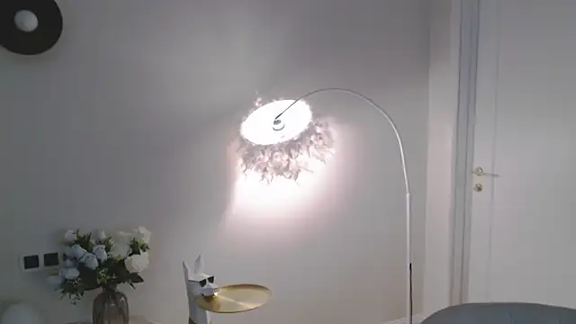 VeliaSai webcam