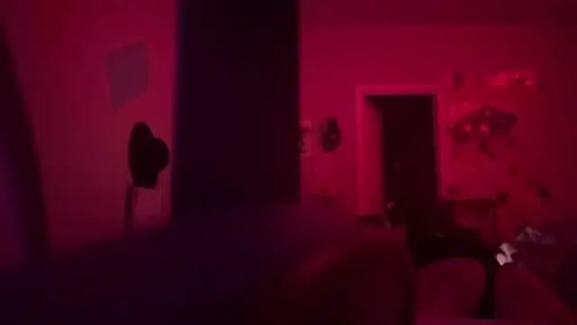 Texxaspearl webcam