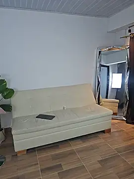 Darwinstark_ webcam