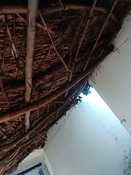 HOranipal57 webcam
