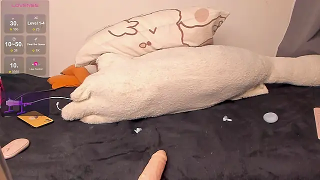NeilRogers webcam
