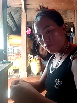 phuongtrinh1 webcam