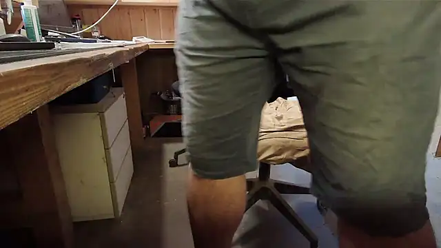 Cygnus58topchef webcam