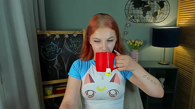 nortellii webcam