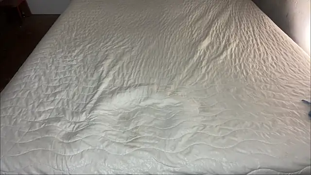 KrisKissa webcam