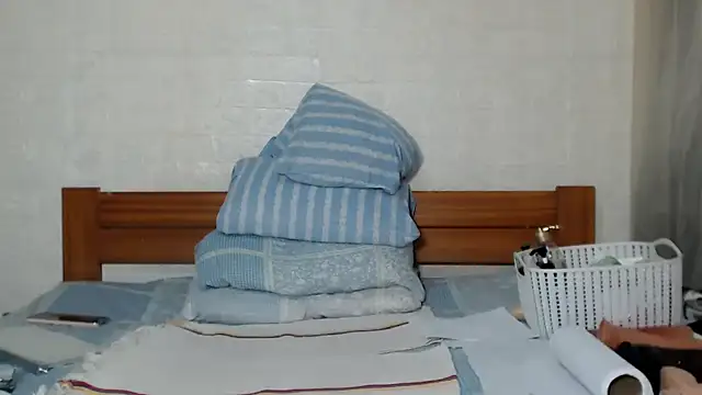 awild_kitten webcam