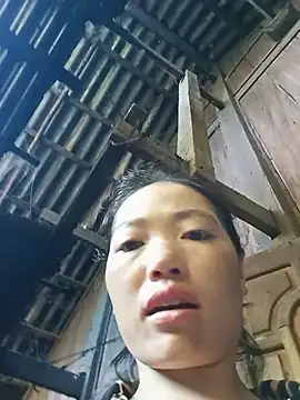 kotaka-shoow webcam