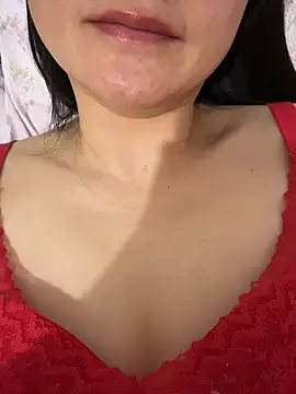 h-139431 webcam