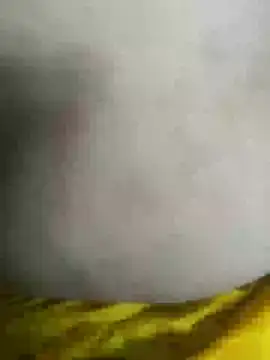 zaanbai webcam