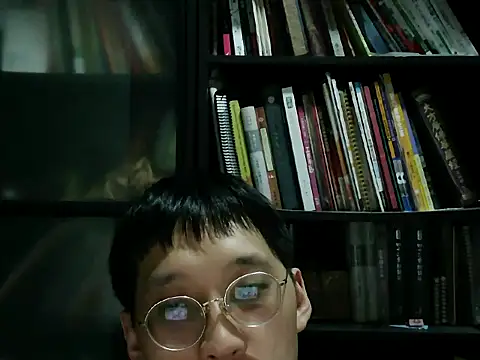 Lv8763 webcam
