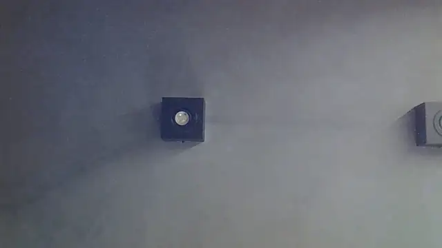 SkinnyKitten webcam