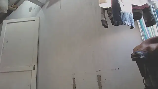 gatoalex89 webcam