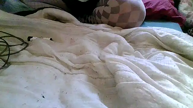 pit4296 webcam