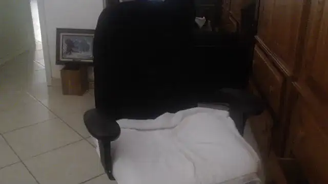 joeydee1 webcam