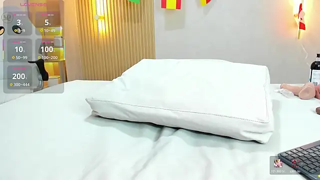 ammy_shell webcam