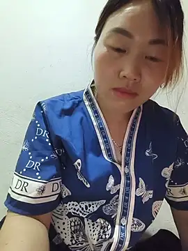 he-se-kin webcam