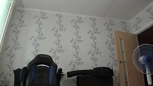 SanFrantsisko webcam