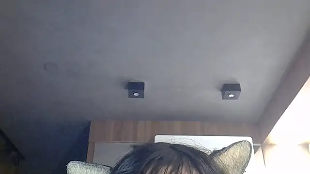 SkinnyKitten webcam