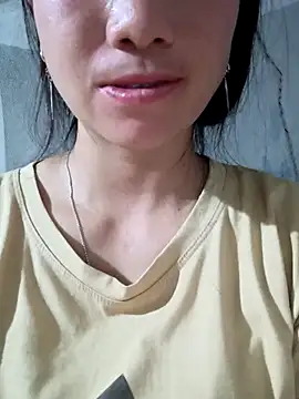 imh78516 webcam