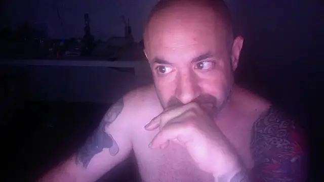 palidin1 webcam