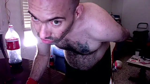 spartan24cm webcam