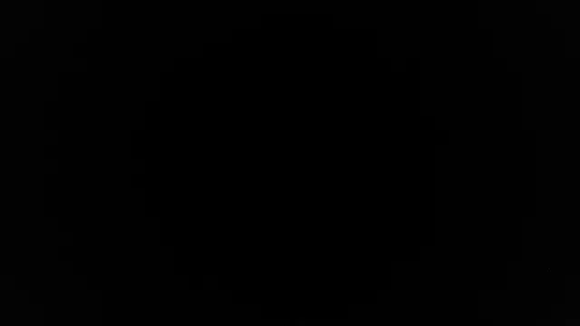 palidin1 webcam