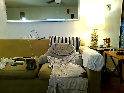 9VOLTT webcam