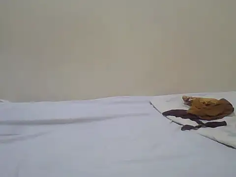 Swt_pie webcam
