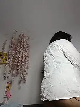 Kuutar webcam
