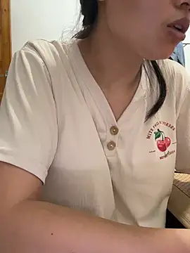 cmvoo webcam
