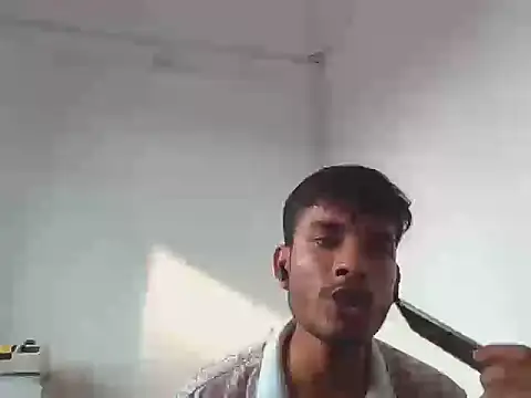 badaa_lund webcam