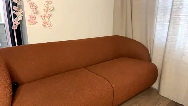 Lumeya_Aura webcam
