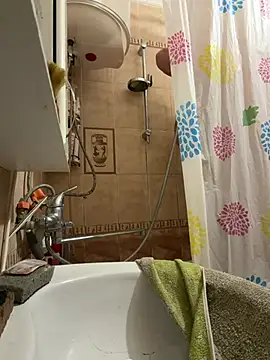 Frosl webcam
