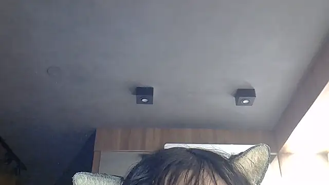SkinnyKitten webcam