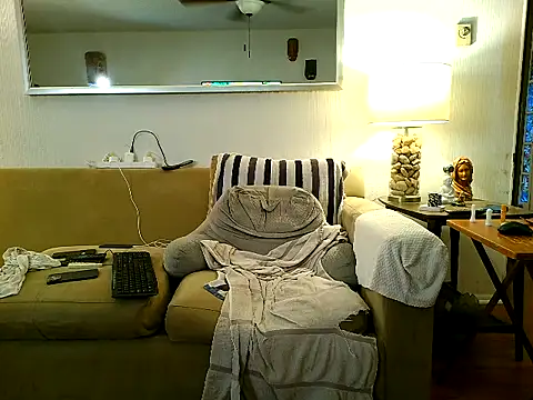 9VOLTT webcam