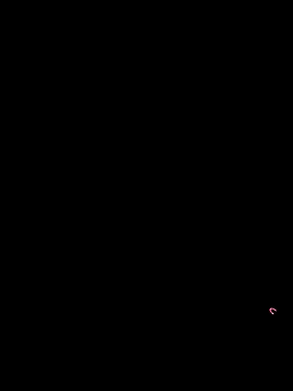 Pablek webcam