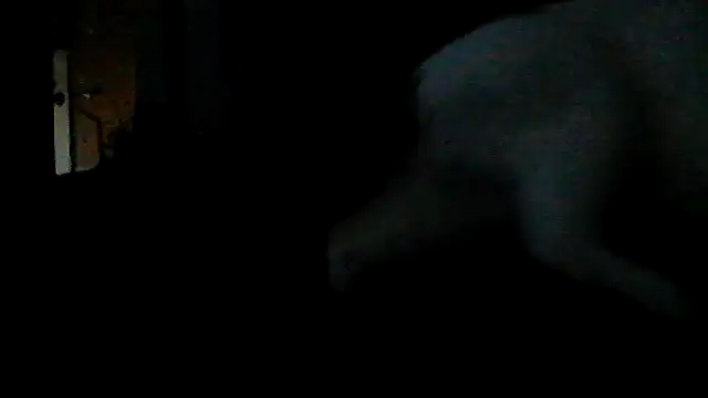 Silencio26 webcam